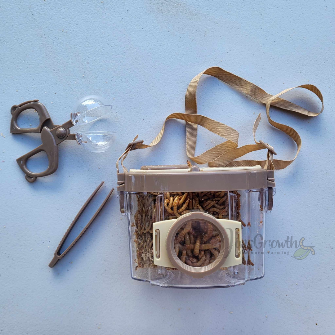 Magnifier Observer Kit