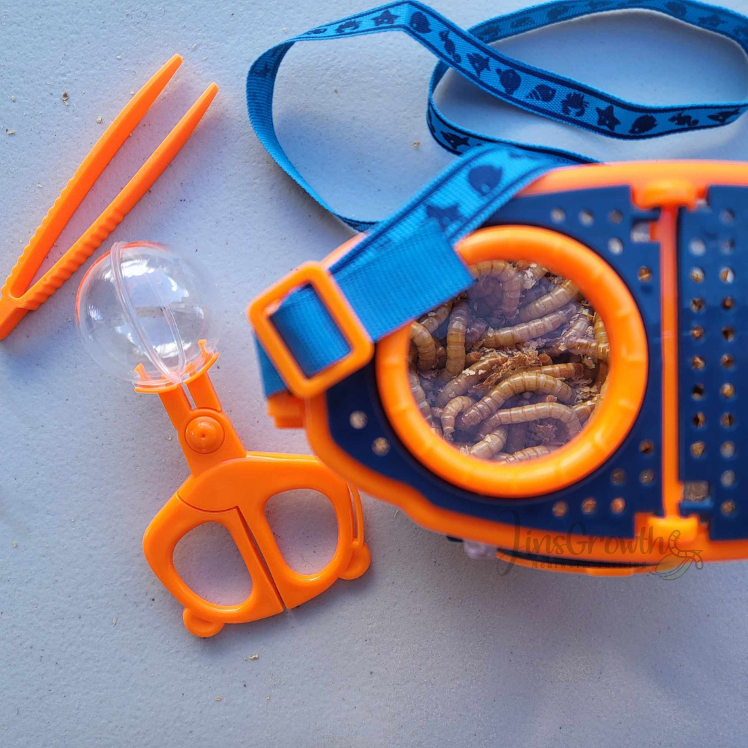 Magnifier Observer Kit