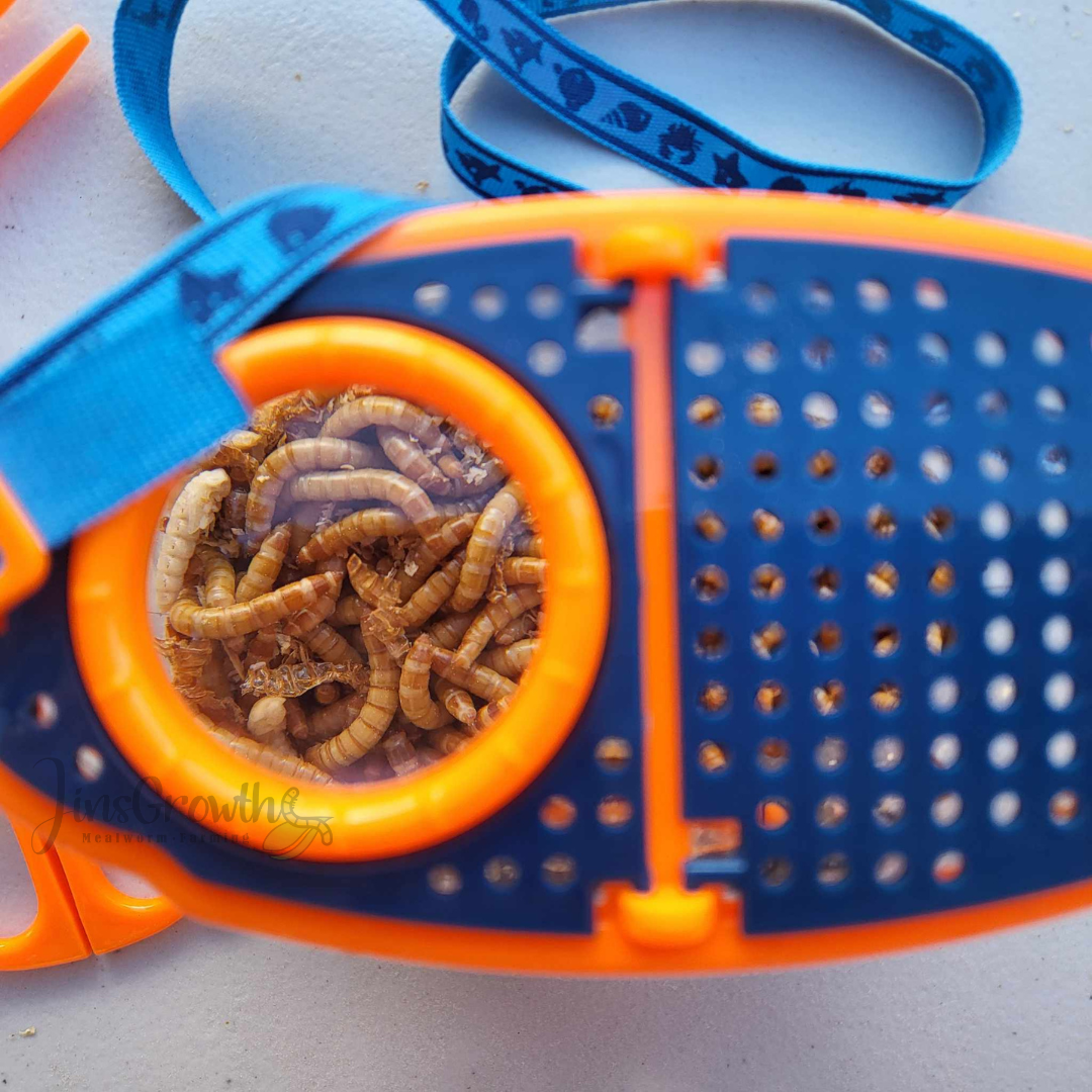 Magnifier Observer Kit