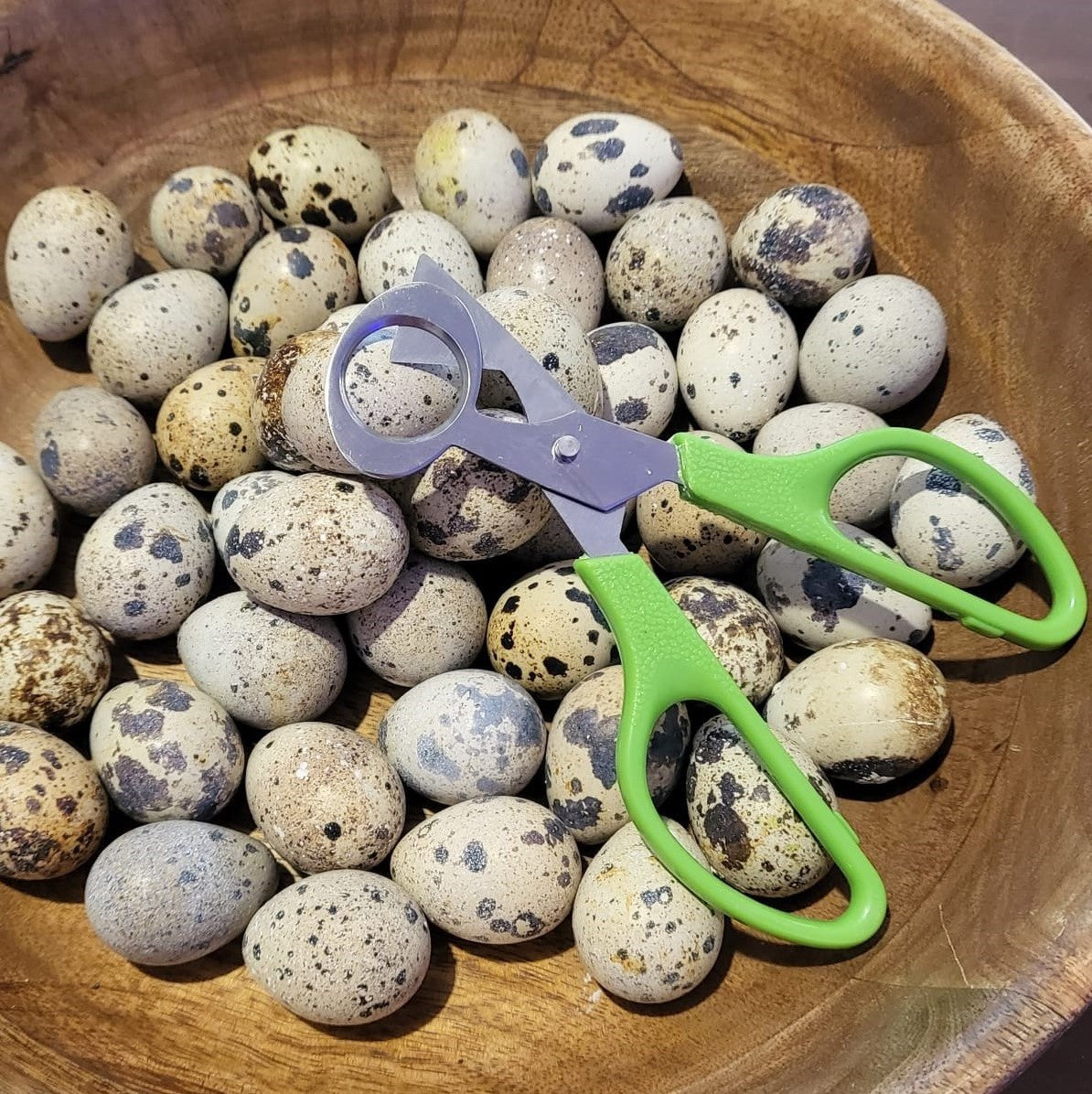 Quail Egg Scissors
