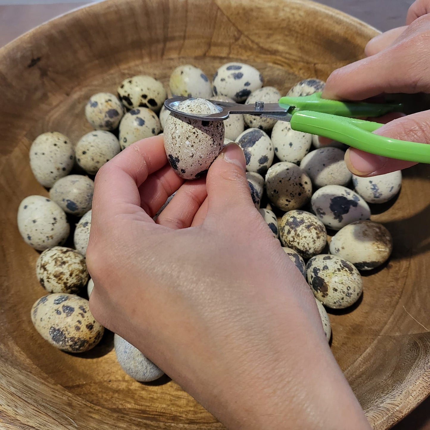 Quail Egg Scissors