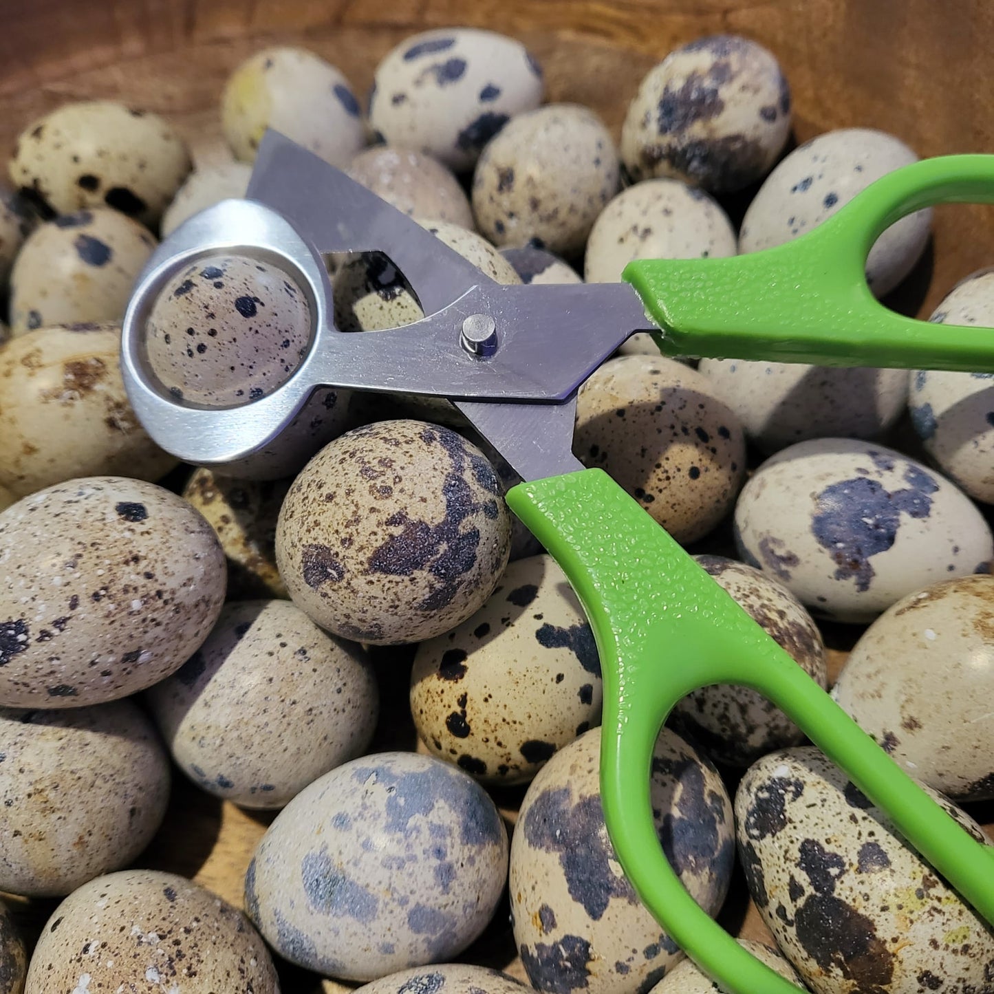 Quail Egg Scissors