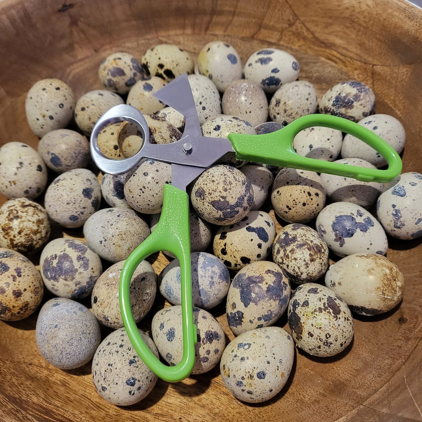 Quail Egg Scissors