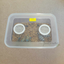 Mealworms Raising DIY Air Vent 40mm/60mm