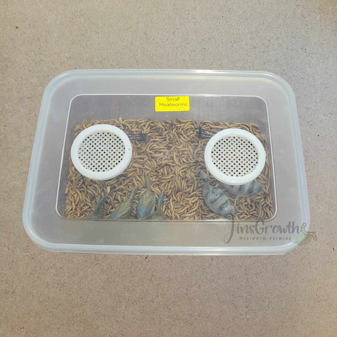 Mealworms Raising DIY Air Vent 40mm/60mm