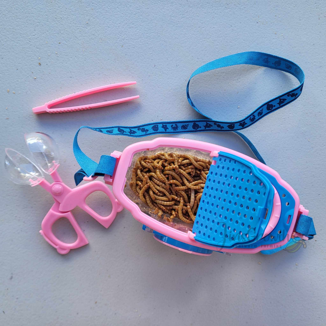 Mealworms Magnifier Observer Kit