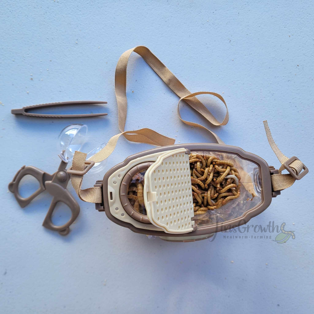 Mealworms Magnifier Observer Kit