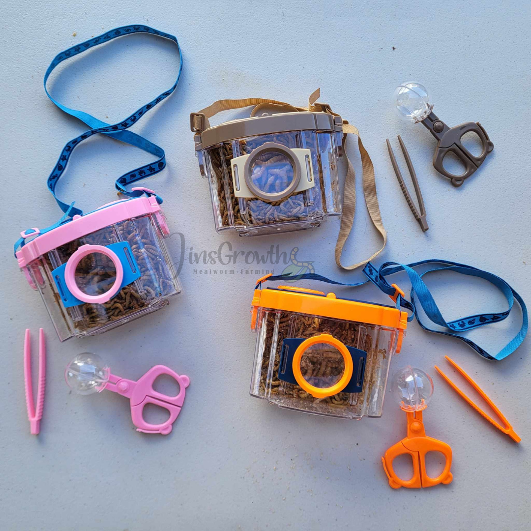 Mealworms Magnifier Observer Kit