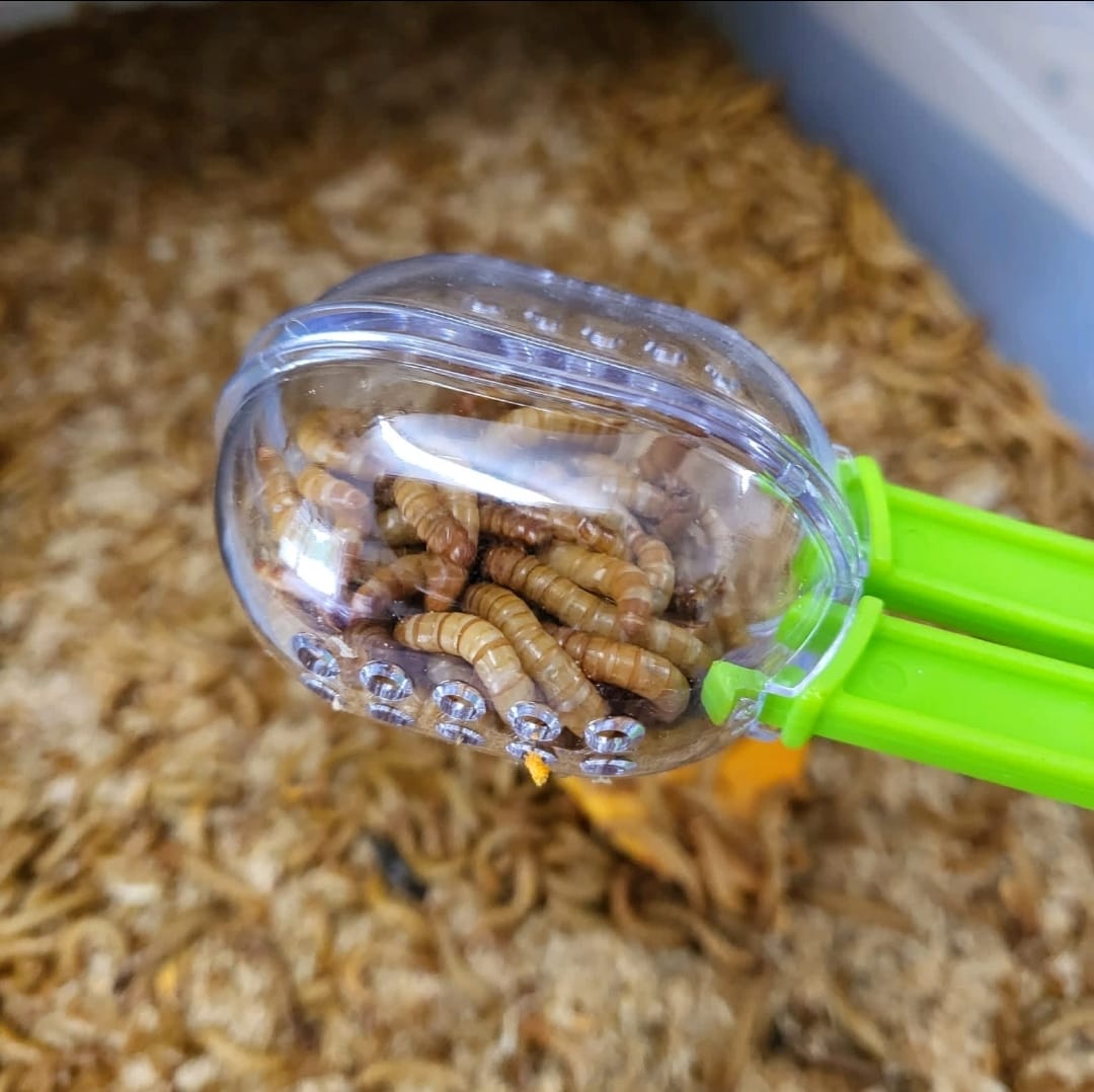 Scoop-End Scissors - Mealworms Catcher