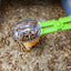 Scoop-End Scissors - Mealworms Catcher