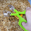 Scoop-End Scissors - Mealworms Catcher