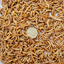 Live Mealworms - Small